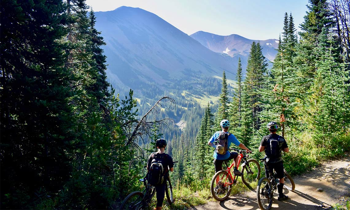 Mountain Bike Buying Guide 